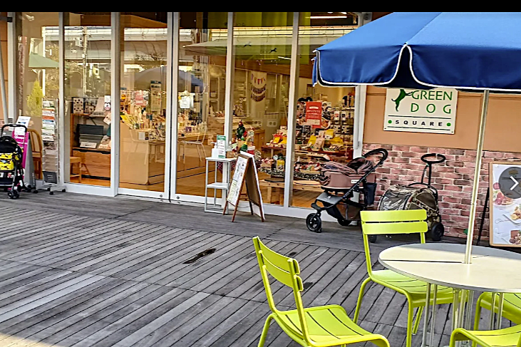 GREEN DOG&CAT 神戸本店