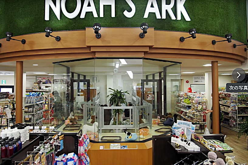 ノアズアーク 北山店