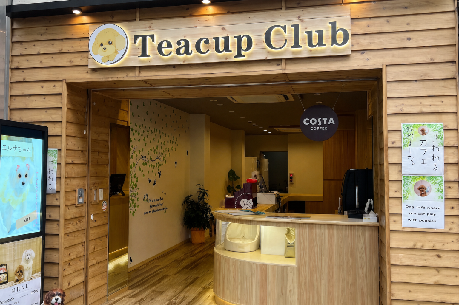 Teacup Club